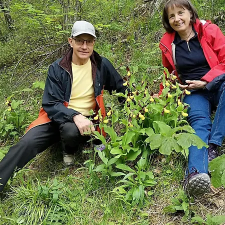 Lägenhet Haus Leblhuber Windischgarsten