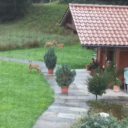 Appartement Haus Leblhuber