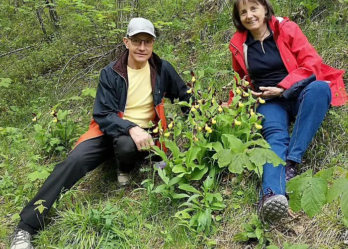 公寓 Haus Leblhuber 温蒂加斯顿