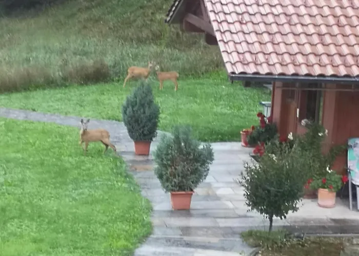 Διαμέρισμα Haus Leblhuber